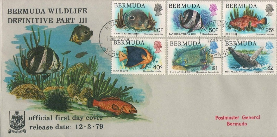 1979 March 12 Bermuda Wildlife Part 3, fish