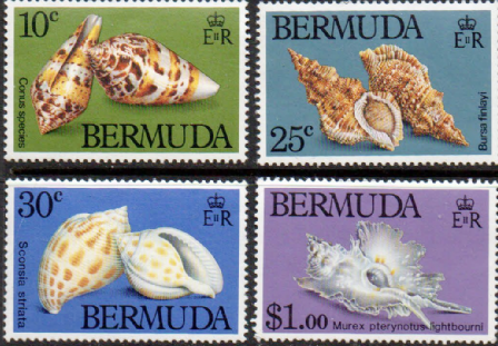 1982 Bermuda Shells postage stamps