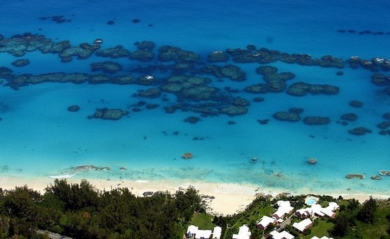 Bermuda reefs off a beach
