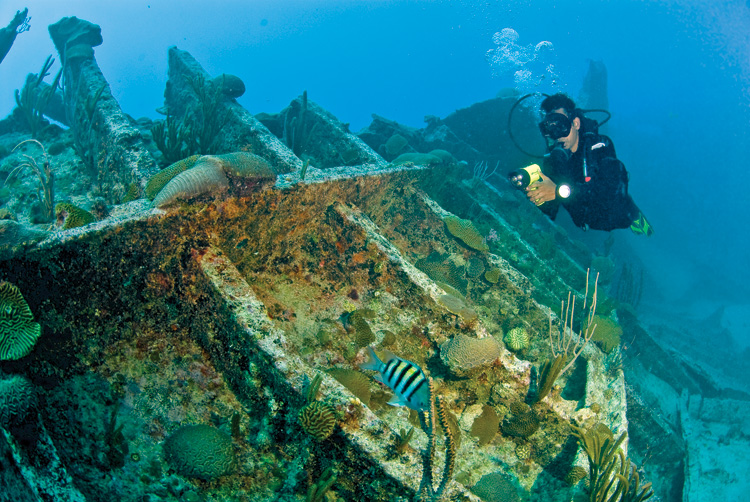 Bermuda scuba diving