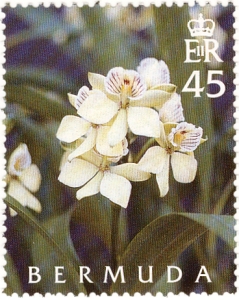 Bermuda stamp orchids c 2005