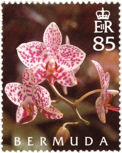 Bermuda stamp orchids a 2005