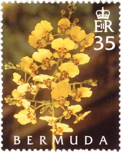 Bermuda stamp orchids b 2005