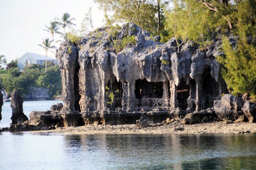 Cathedral Rocks