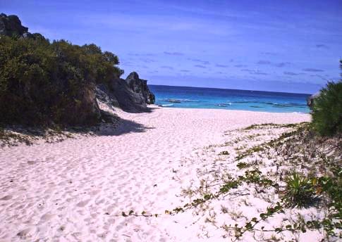 Is the Sand in Bermuda Really Pink?