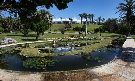 Palm Grove Gardens