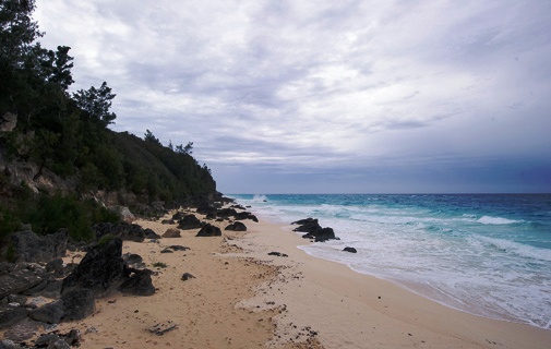 Southlands Beach