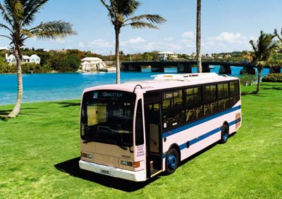 New Bermuda bus (33351 bytes)