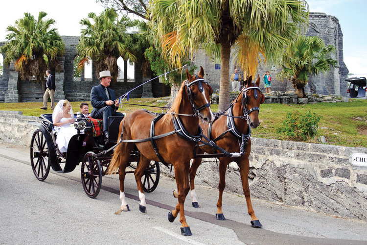 marriage in Bermuda by horse and carriage