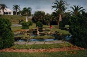 Palm Grove Gardens (1)
