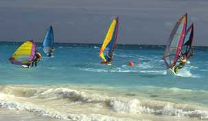 Shelly Bay windsurfing
