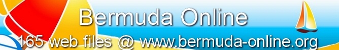 Bermuda Online banner